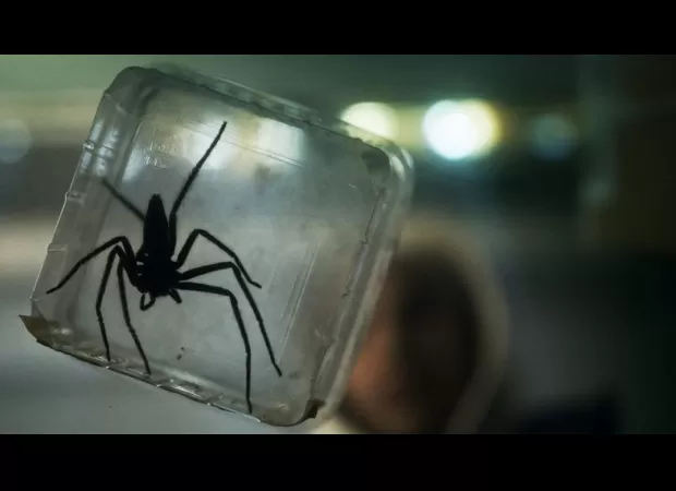 Creepy spider horror on Prime Video gets the thumbs up from Stephen King, with a gross and scary vibe.