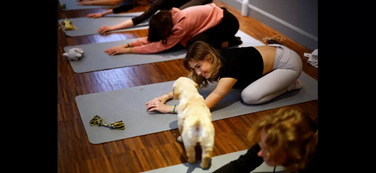 Dog yoga is causing debate as one nation has prohibited it.