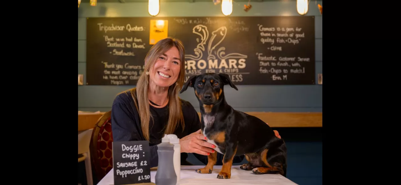 St Andrews now has a chippy that welcomes dogs, the first of its kind in Scotland.