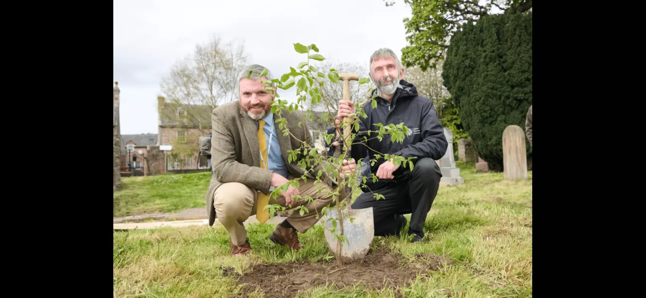A new wych elm brings new life to the site of Europe's oldest tree.