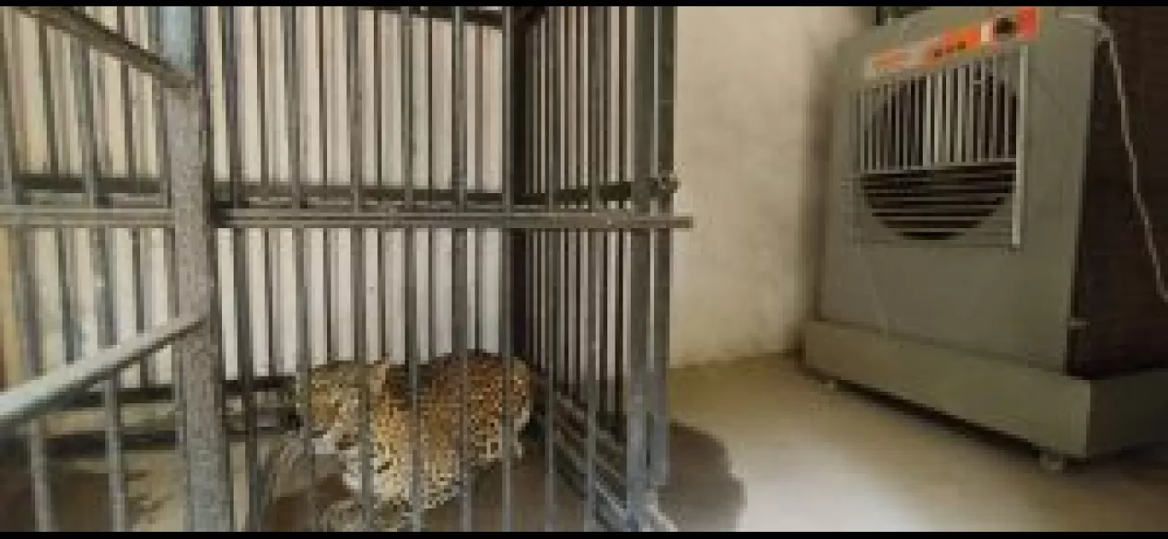 Efforts to safeguard prisoners at Sambalpur Zoo.