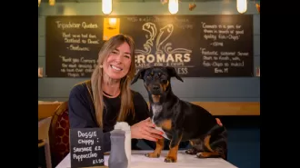 St Andrews now has a chippy that welcomes dogs, the first of its kind in Scotland.