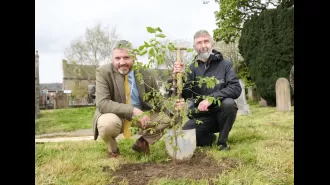 A new wych elm brings new life to the site of Europe's oldest tree.