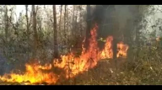 Forest fires in Sundargarh have been successfully contained, according to authorities.