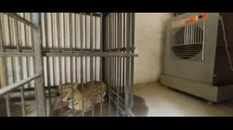 Efforts to safeguard prisoners at Sambalpur Zoo.