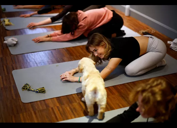 Dog yoga is causing debate as one nation has prohibited it.