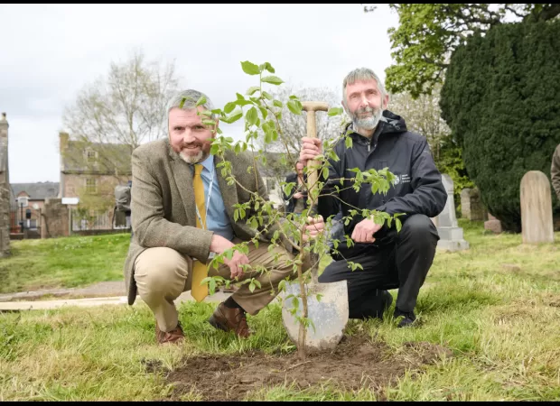 A new wych elm brings new life to the site of Europe's oldest tree.