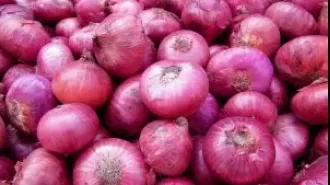 Govt allows onion exports again, but sets minimum price at $550/tonne.