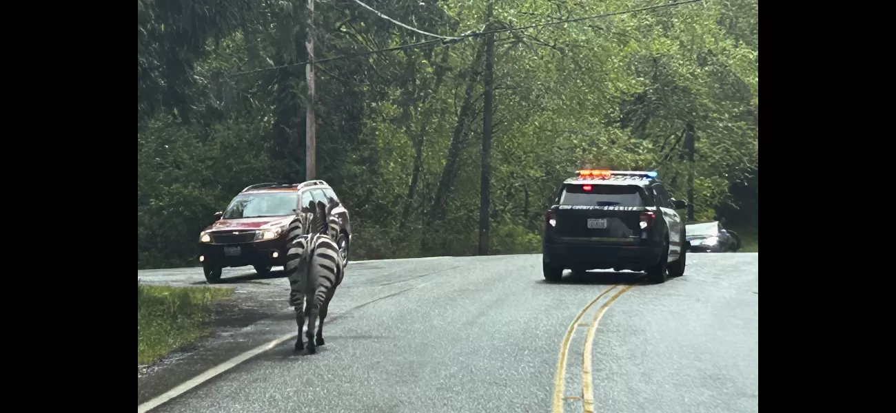 A zebra has escaped from a trailer in the US and people are advised to stay away.
