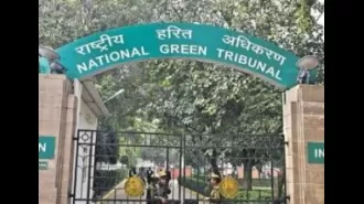 NGT orders Maharashtra Cement to take action.