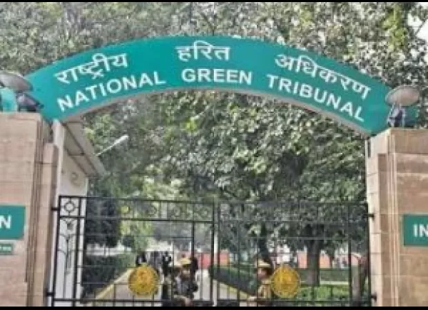 NGT orders Maharashtra Cement to take action.