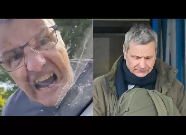 Driver caught on camera yelling at car could go to prison.