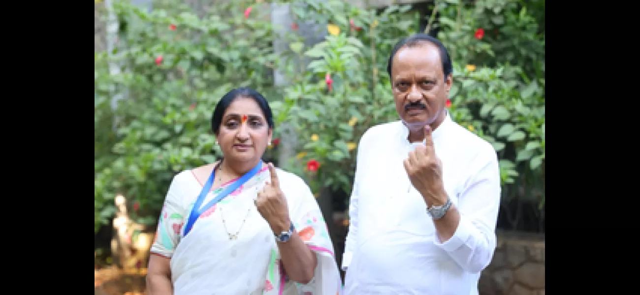 Ajit and Sunetra Pawar, along with Praniti Shinde, were among the first to cast their votes in Maharashtra.