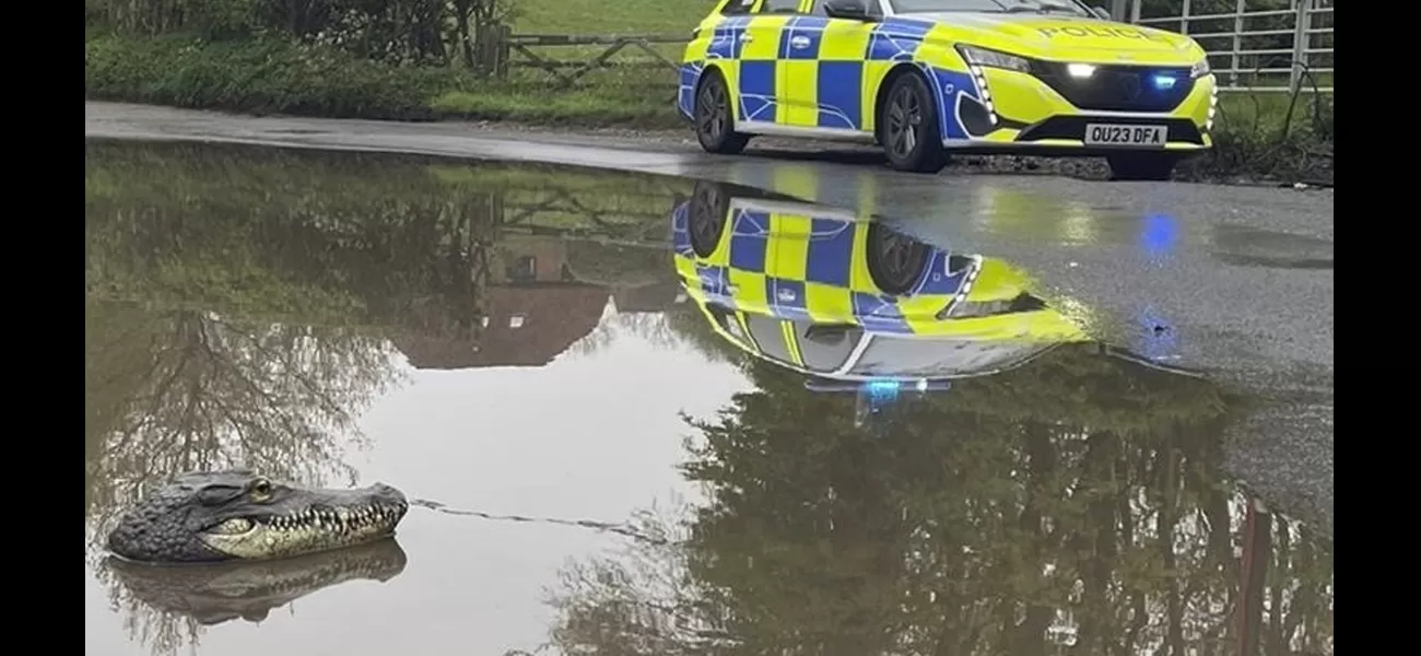 A crocodile was spotted emerging from a puddle near a village in Buckinghamshire.