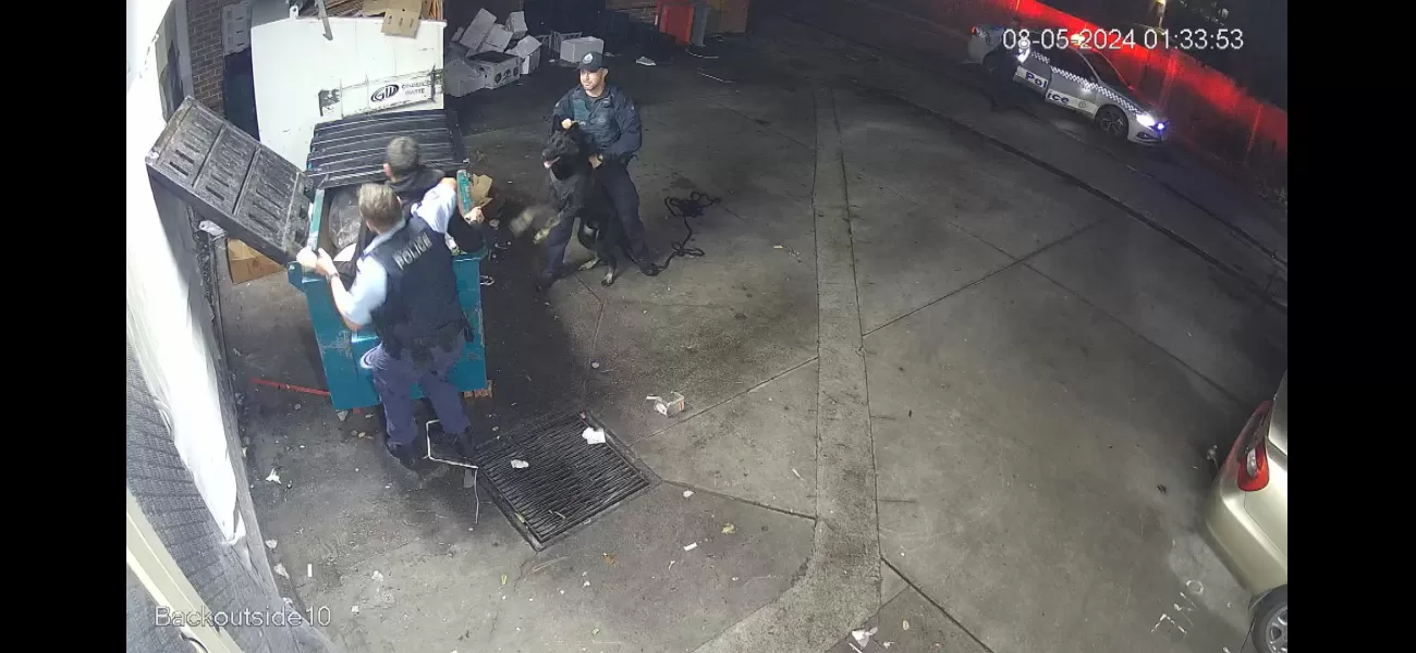 Police rescued a man from a dumpster following an alleged armed robbery.