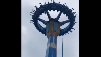 Riders stranded upside down for two minutes as swing ride halts abruptly in mid-air.