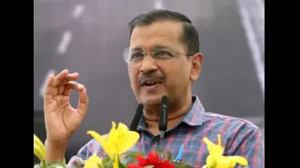 The Election Commission does not support the temporary release of Delhi CM Arvind Kejriwal, arguing that it is not a fundamental right.