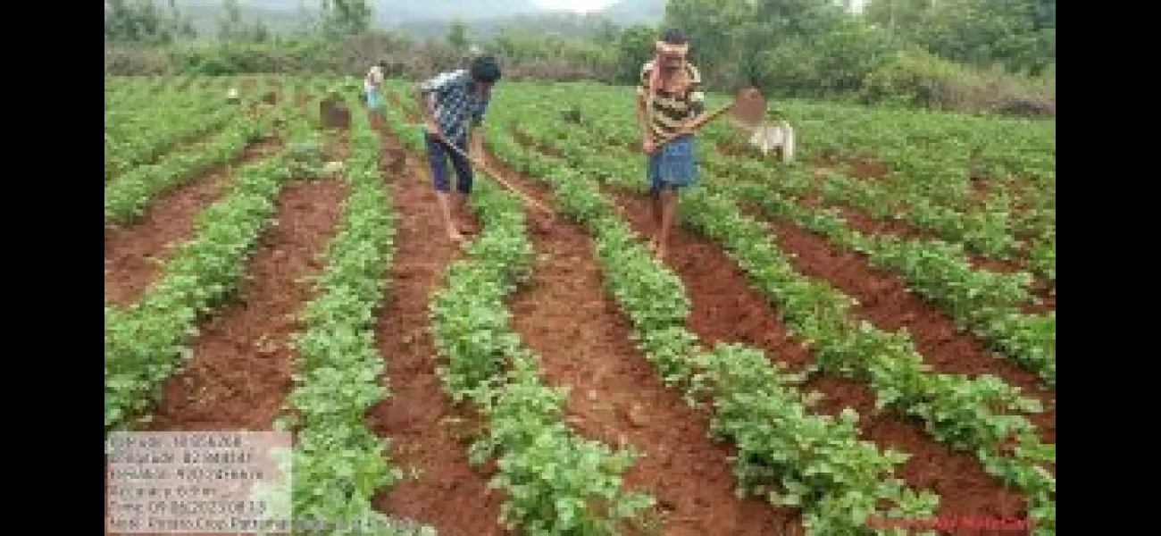 Problems with water and low farm prices are key concerns in Koraput LS constituency.