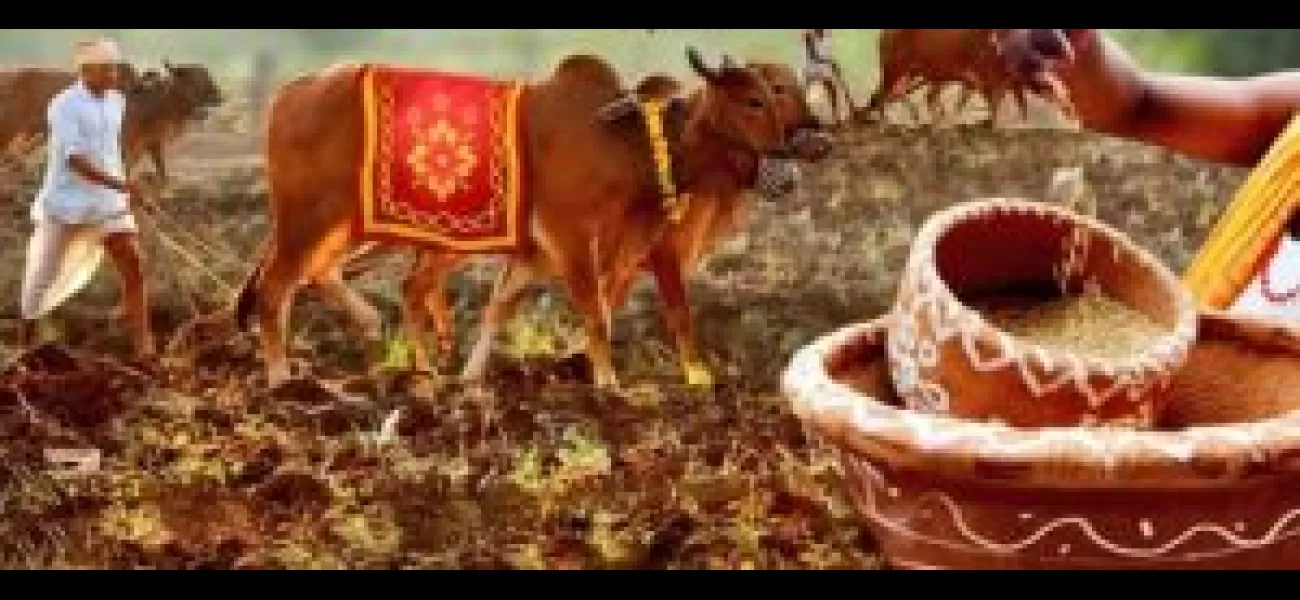 PM Modi celebrates 'Akshaya Tritiya' in Odisha, a day considered highly auspicious in the state.