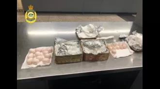 Melbourne Airport fined a traveller thousands of dollars for attempting to bring pigeon eggs into the country.