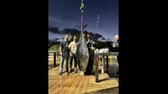 A huge 165kg tuna was caught near Victoria's coast.