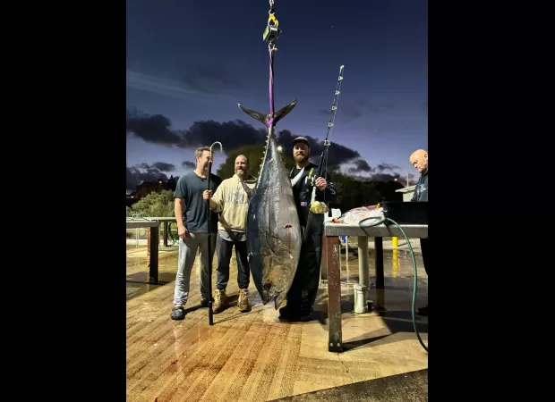 A huge 165kg tuna was caught near Victoria's coast.