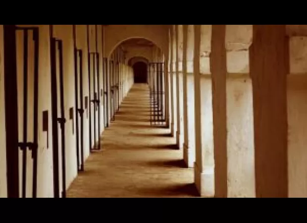 3 people in Odisha have been given a 20-year jail term for transporting brown sugar.