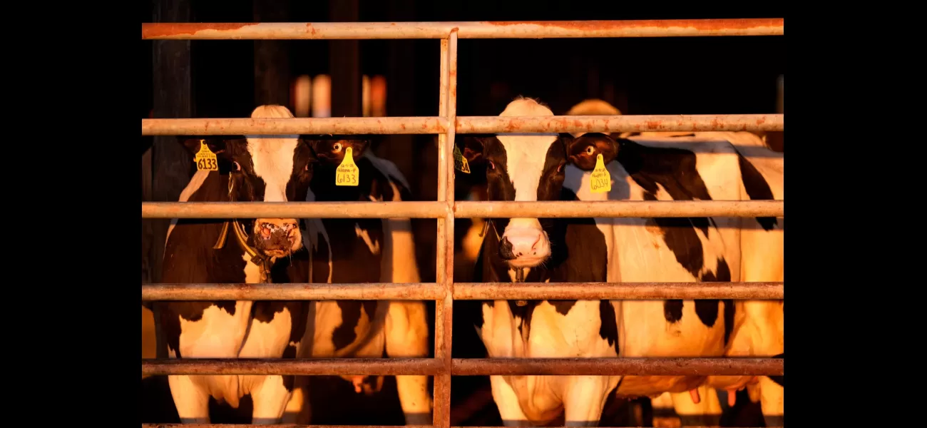 US promises financial and other support to monitor and control bird flu outbreaks on dairy farms.