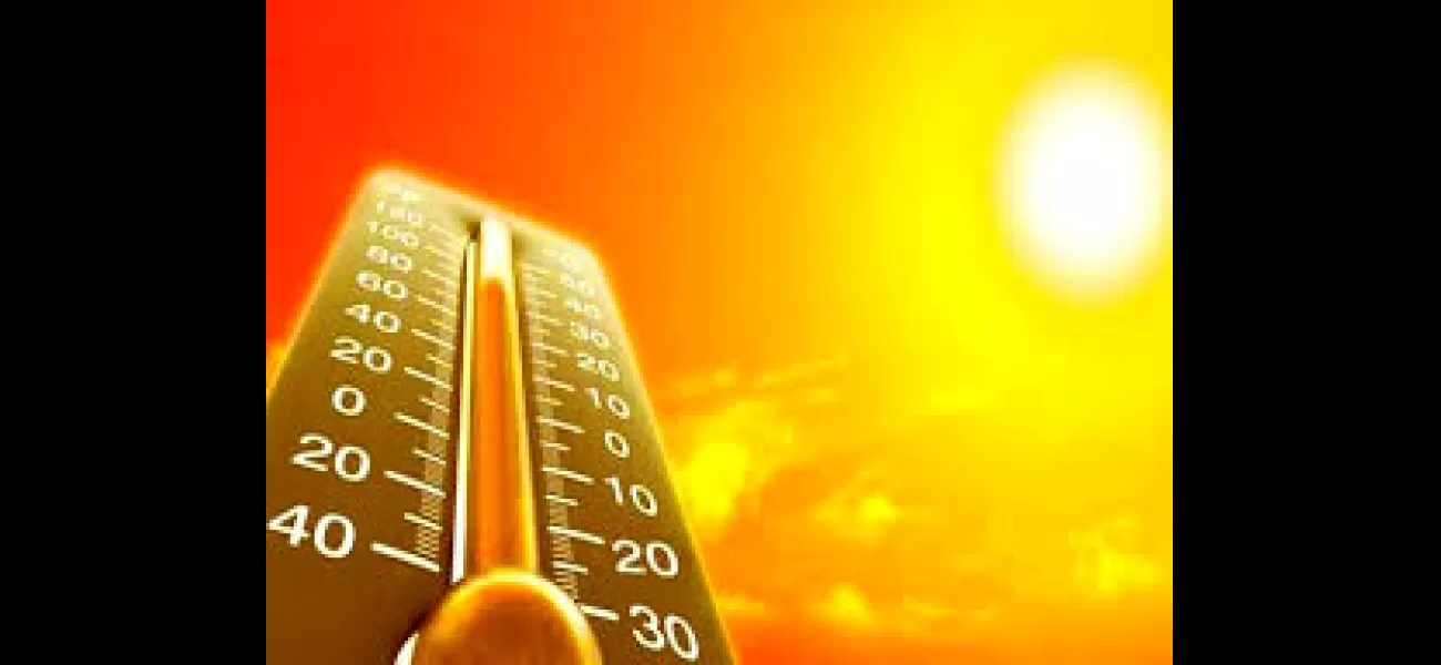 A young person fainted while playing cricket, possibly due to sun exposure.