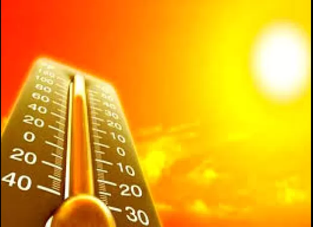 A young person fainted while playing cricket, possibly due to sun exposure.