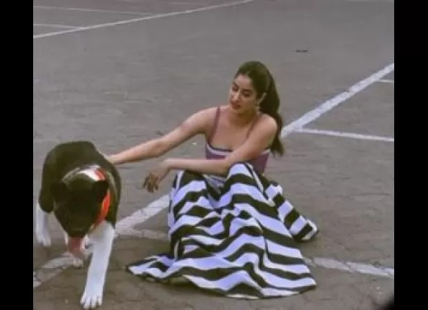 Janhvi Kapoor takes adorable photos with her cat named 