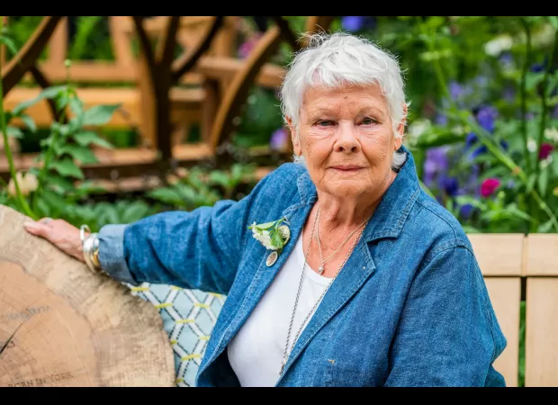 Legendary actress Dame Judi Dench is poised to break records in a truly iconic fashion.