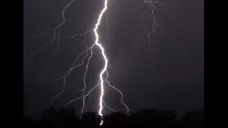 Three people lost their lives due to being struck by lightning.