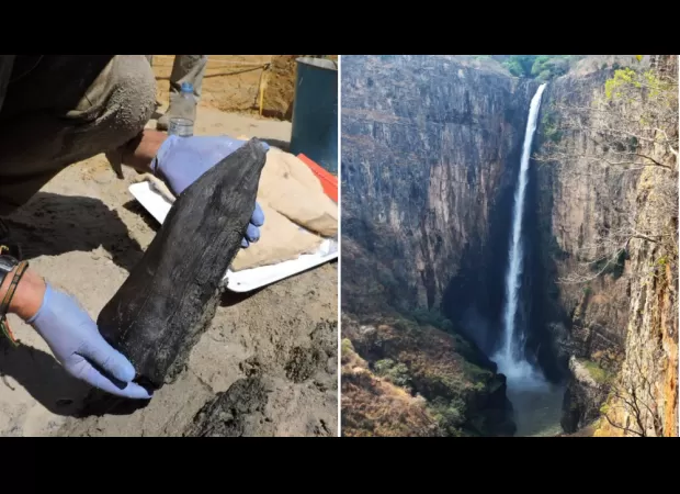 Old wood shows our ancestors were more intelligent than believed.