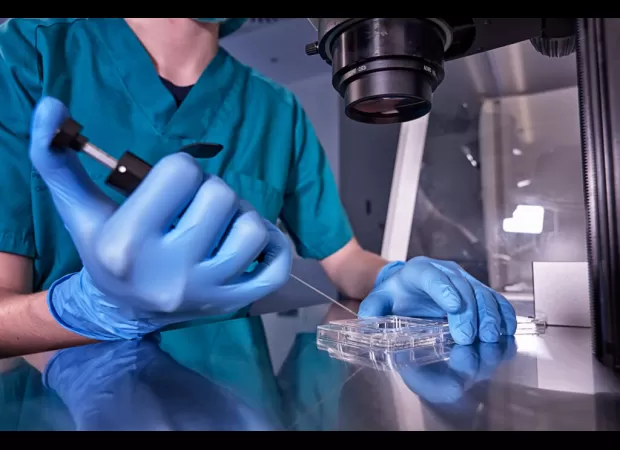 Mother's IVF halted by Alabama ruling, frozen embryos now legally children in the eyes of the law.