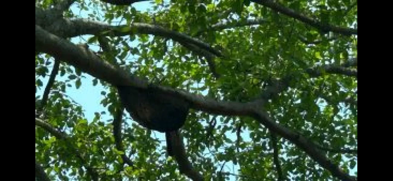 Three people were critically injured and six people were hurt in an attack by a swarm of bees.