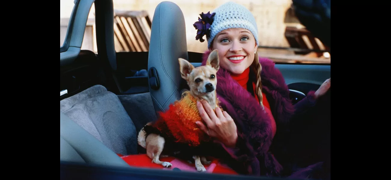 Fans of Legally Blonde are calling for Reese Witherspoon's daughter to play Elle Woods in a new spin-off.