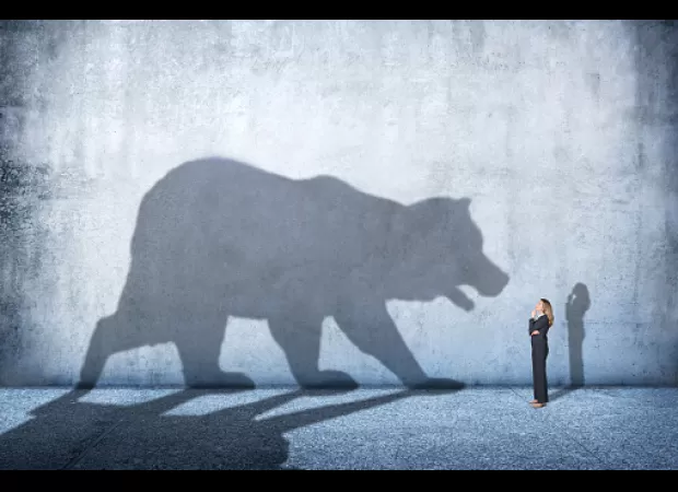 Comparing searches and bears to apples and pears.