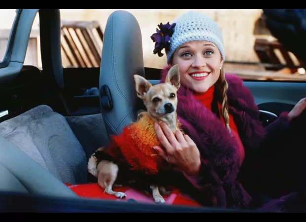 Fans of Legally Blonde are calling for Reese Witherspoon's daughter to play Elle Woods in a new spin-off.