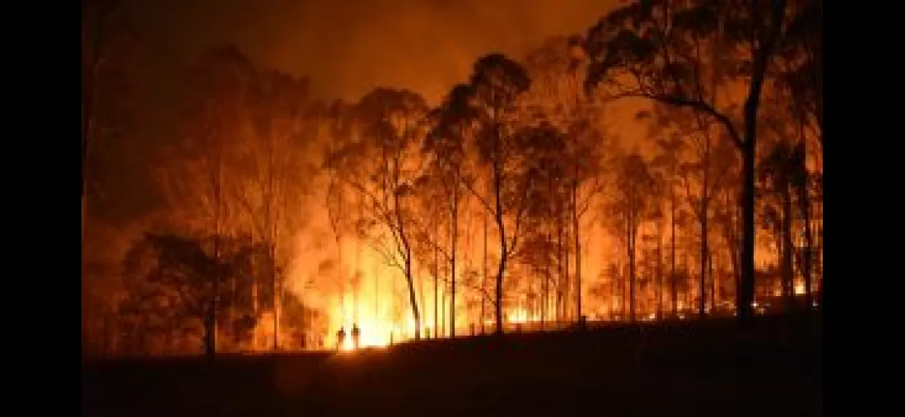Supreme Court criticizes Uttarakhand for not taking effective action to control forest fires.