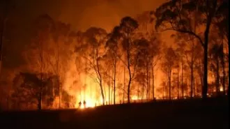 Supreme Court criticizes Uttarakhand for not taking effective action to control forest fires.