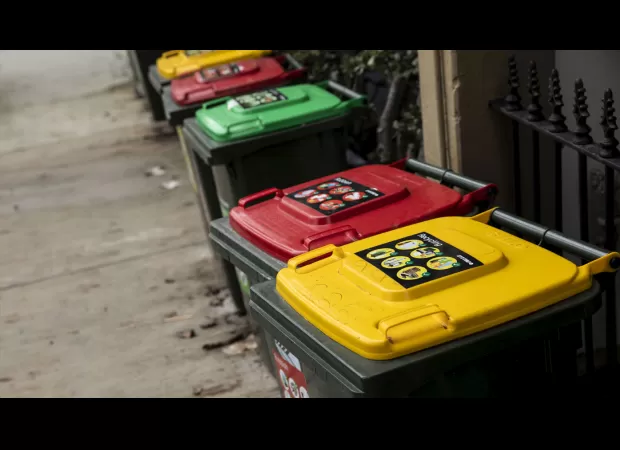 Strange objects like donkey heads, snakes, and dead cows have been discovered in recycling bins.