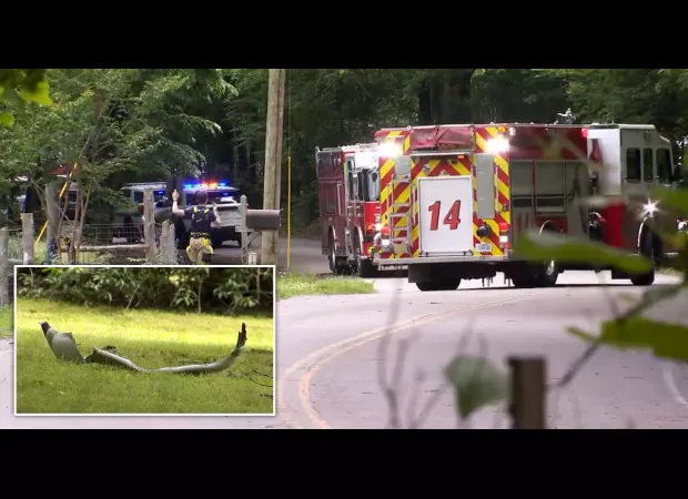 Three people die when a plane explodes in mid-air, scattering debris.