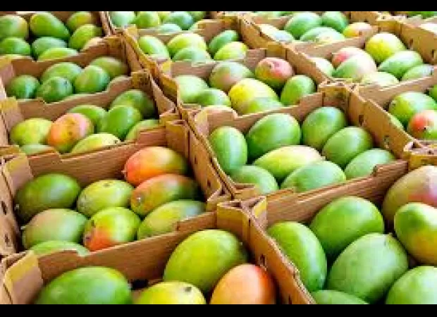 Odisha farmer producer organizations (FPOs) are exploring international markets for their products.