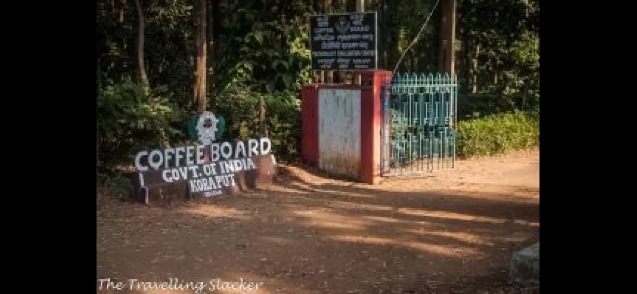 Climate change is causing damage to Koraput's coffee production, impacting the local economy.
