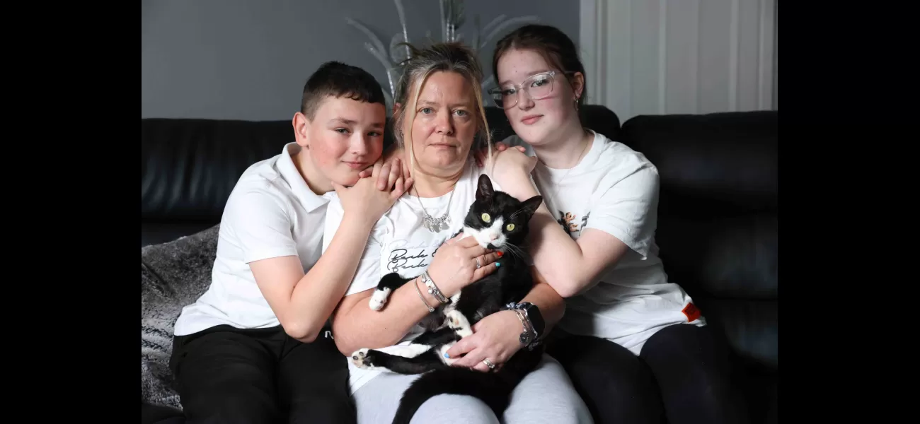 Famous cat from Facebook returns home after 5 days, injured from dog attack.