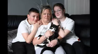 Famous cat from Facebook returns home after 5 days, injured from dog attack.