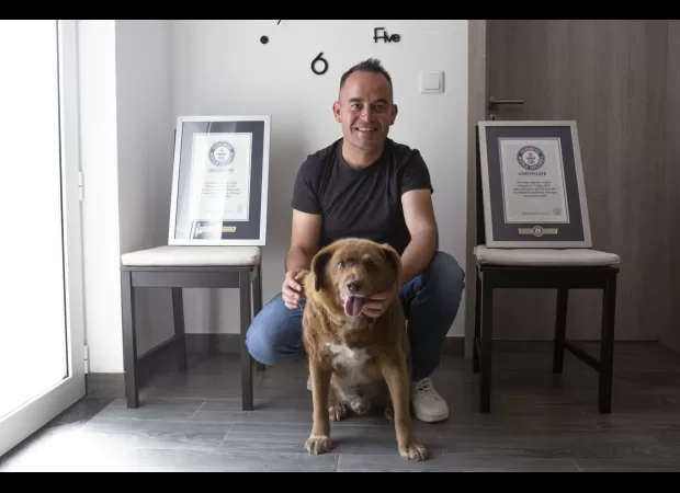 Dispute over title of oldest dog in history leads to legal action against Guinness World Records by owner.
