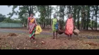 Tribal people selling sal seeds at a low price due to financial difficulties, benefiting traders.