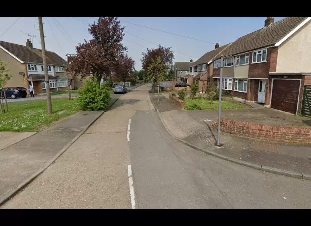 Woman killed by own two XL Bully dogs.